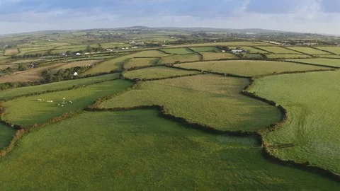 Aerial view of Fields in Corwall at sunrise Stock Footage 124307405