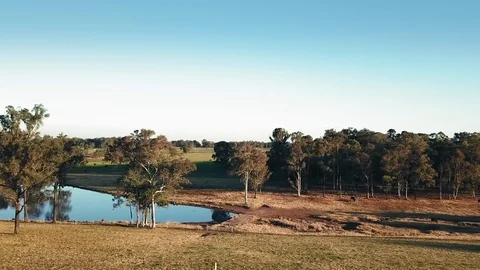 Aerial view of fields, a dam, and the bush at sunset in Australia Stock Footage 114739013
