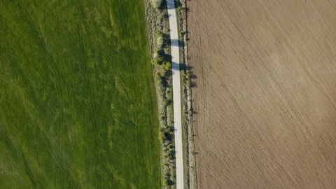 Aerial view of fields with different plantations separated by a road Stock Footage 129838407