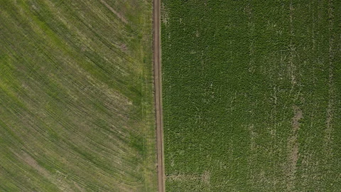 Aerial view of fields with different plantations separated by a dirt road Stock Footage 131332322