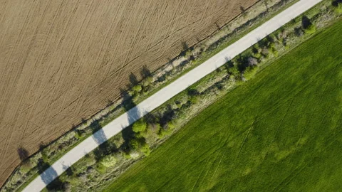 Aerial view of fields with different plantations separated by a road Stock Footage 131333245
