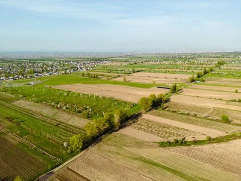 Aerial view of fields during spring Stock Photos