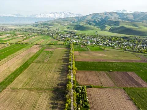 Aerial view of fields during spring Stock Photos