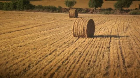 Aerial view of fields Stock Footage 9026646