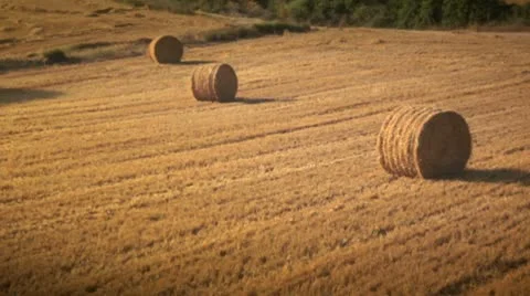 Aerial view of fields Stock Footage 9026705
