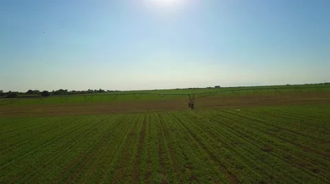 AERIAL - View of fields Stock Footage 64993974