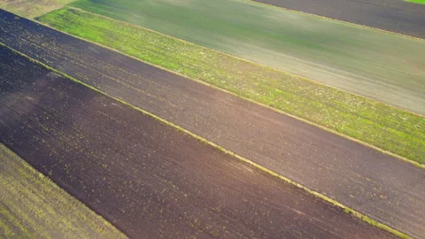 Aerial view of the fields Stock Footage 221399988