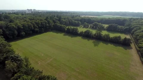 Aerial view, fields of grass in forest Stock Footage 60696141