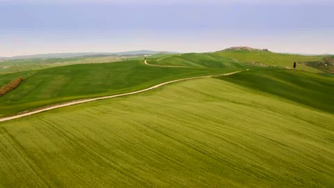 Aerial view of fields with a lonely tree in Crete Senesi, Tuscany Stockbeeldmateriaal 135406088