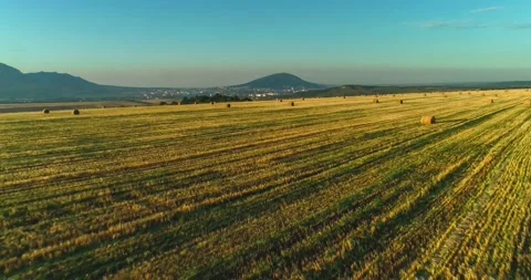 Aerial view of the fields outside the city 库存影片 158398546