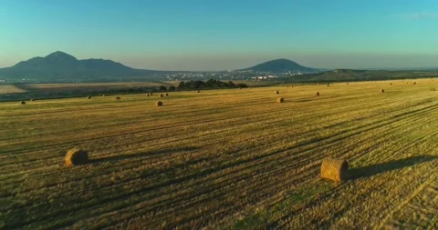 Aerial view of the fields outside the city Stock Footage 158398573