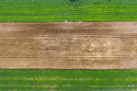 Aerial view of fields Foto stock