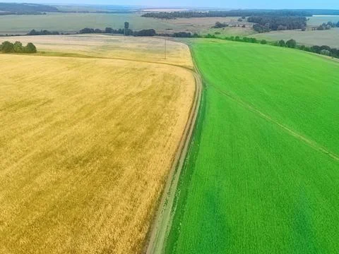 Aerial view on the fields Stock Photos