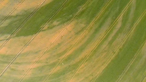 Aerial view of fields in Poland / 4K Drone Video Video stock 90599925