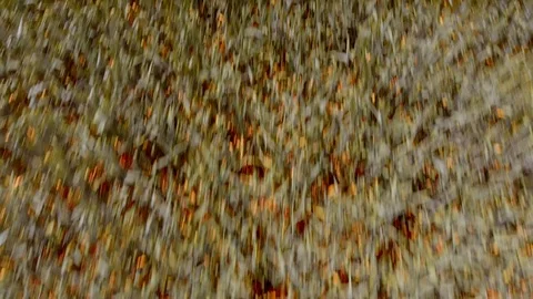 Aerial view of fields in Poland / 4K Drone Video Stock-Footage 90600139
