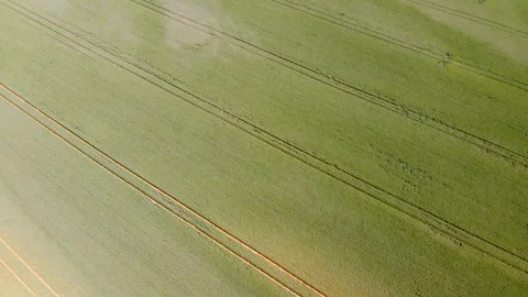 Aerial view of fields in Poland / 4K Drone Video Stock-Footage 90600154