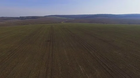 Aerial view of fields with rapeseed in 4K 库存影片 74153667