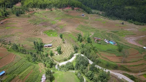 Aerial view of fields ready to plant rice, Aerial drone view Stock Footage 156230895