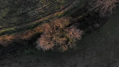 Aerial view of fields in Rome. Stock Footage 130196311