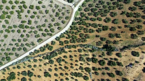 Aerial view of the fields in Spain Stock Footage 269006792