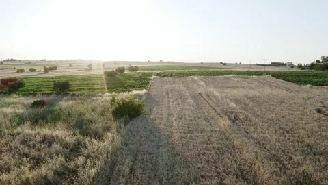 Aerial view of fields at sunset. Video stock 132609152
