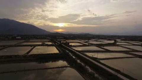 Aerial View fields at sunset in Vietnam Stock Footage 79500718