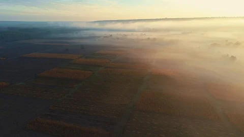 Aerial view of fields with thick clouds above them. Stock Footage 113382176