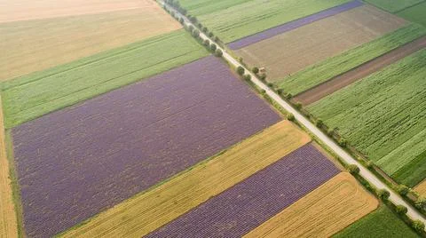 Aerial view of fields with various types of agriculture. Beautiful lavender f Stock-Fotos