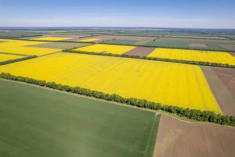 Aerial view of fields with various types of agriculture. Beautiful yellow r.. Stock-Fotos