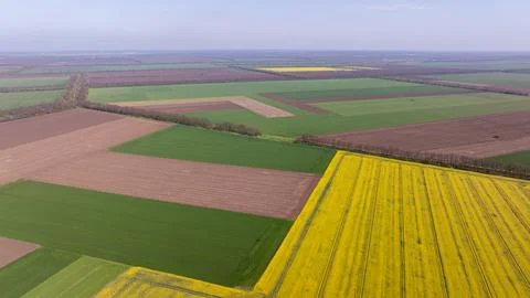 Aerial view of fields with various types of agriculture. Rural countryside .. 库存照片