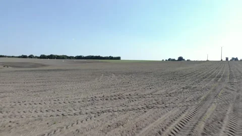 Aerial view of fields : wheat and corn Stock Footage 132046479