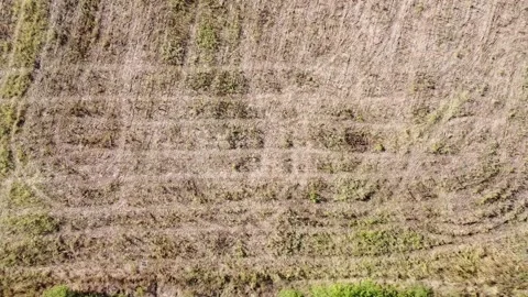 Aerial view fild Stock-Footage 228920367