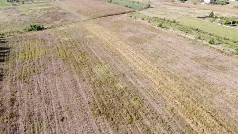 Aerial view fild Vídeo Stock 228920738