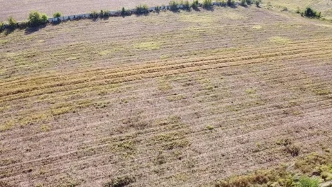 Aerial view fild Vídeo Stock 228920740