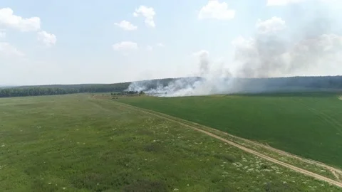 Aerial view of Fire in the field. Stock Footage 134691589