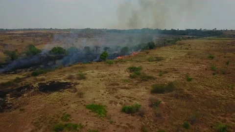 Aerial view fires burning fields forest for crops in Madagascar Stock Footage 230233044
