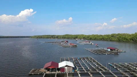 Aerial view of Fish cages, floating house and river in Sungai Petani, Kedah. Stock Footage 152597151