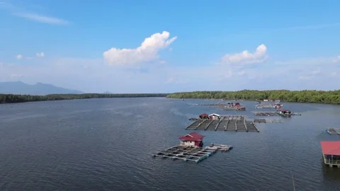 Aerial view of Fish cages, floating house and river in Sungai Petani, Kedah. Stock Footage 152597153