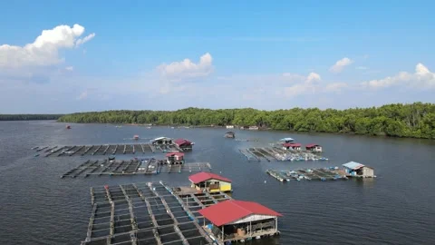 Aerial view of Fish cages, floating house and river in Sungai Petani, Kedah. Stock Footage 152597483