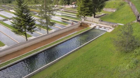 Aerial view at fish farm Video stock 48681292