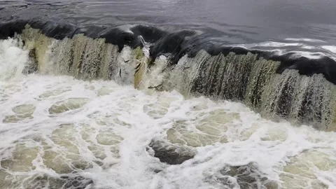 Aerial view of fish jumping over a waterfall Stock Footage 307494728
