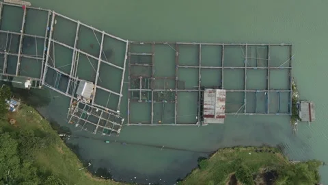 Aerial view of fish pond 2 Stock Footage 292052665