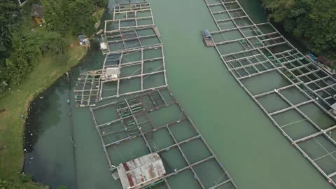 Aerial view of fish pond 3 Stock Footage 292053365