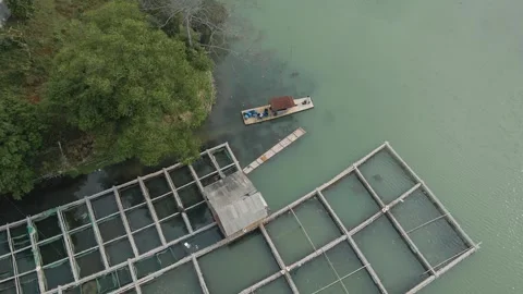 Aerial view of fish pond 4 Stock Footage 292053420