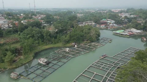 Aerial view of fish pond 5 Stock Footage 292056494