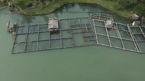 Aerial view of fish pond 6 Stock Footage 292056495