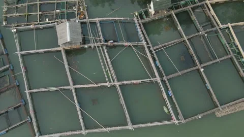 Aerial view of fish pond 7 Stock Footage 292058042