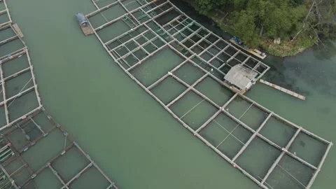 Aerial view of fish pond Video stock 292051721