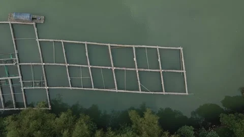 Aerial view of fish pond Stock Footage 292070810