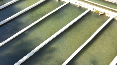Aerial view of fish ponds Stock Footage 294044218